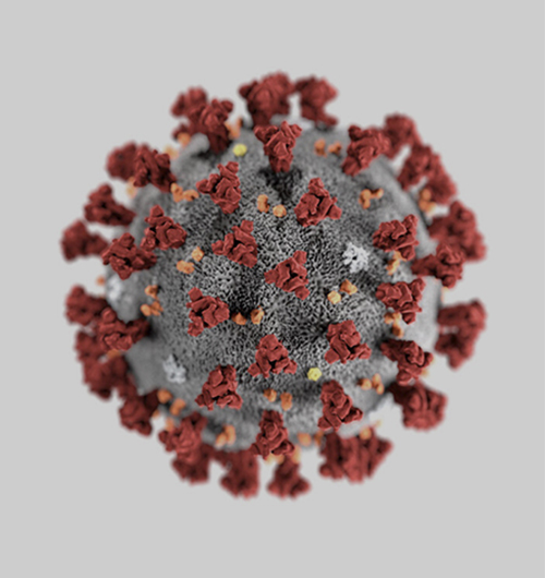Что надо знать о коронавирусной инфекции и ее профилактике