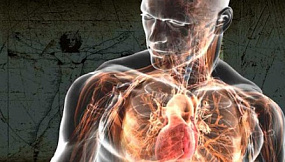 КРАТКИЙ ЭКСКУРС В ИСТОРИЮ ЭВОЛЮЦИИ ОПРЕДЕЛЕНИЯ (ПОНЯТИЯ) «ОРГАНИЗМ».